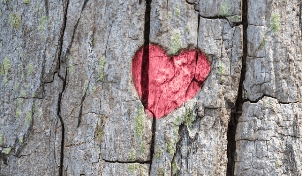 十二星座女生性格大揭秘：哪些星座最易陷入「强者困境」？