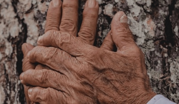 2026年2.23-3.1十二星座塔羅週運大揭秘！