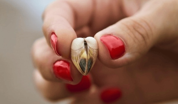 2026年天秤座愛情塔羅牌大揭秘：你的桃花運勢如何？