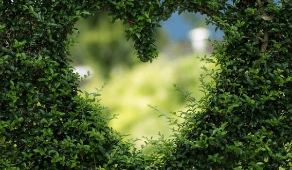 2026年天秤座愛情塔羅牌大揭秘：你的桃花運勢如何？