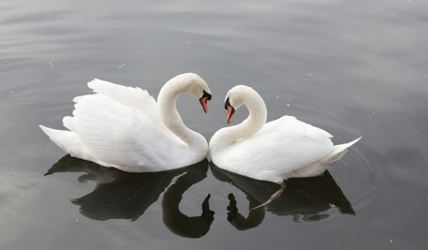 塔羅牌揭秘：你的憂傷指數有多高？