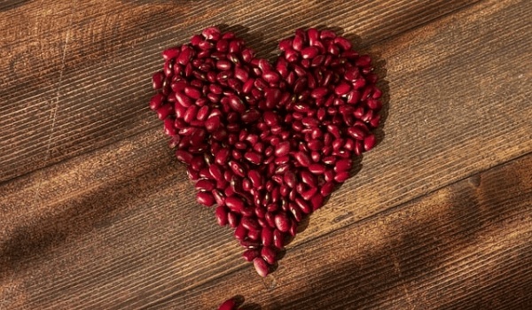 2026年獅子座愛情塔羅牌深度占卜：揭秘你的戀愛運勢